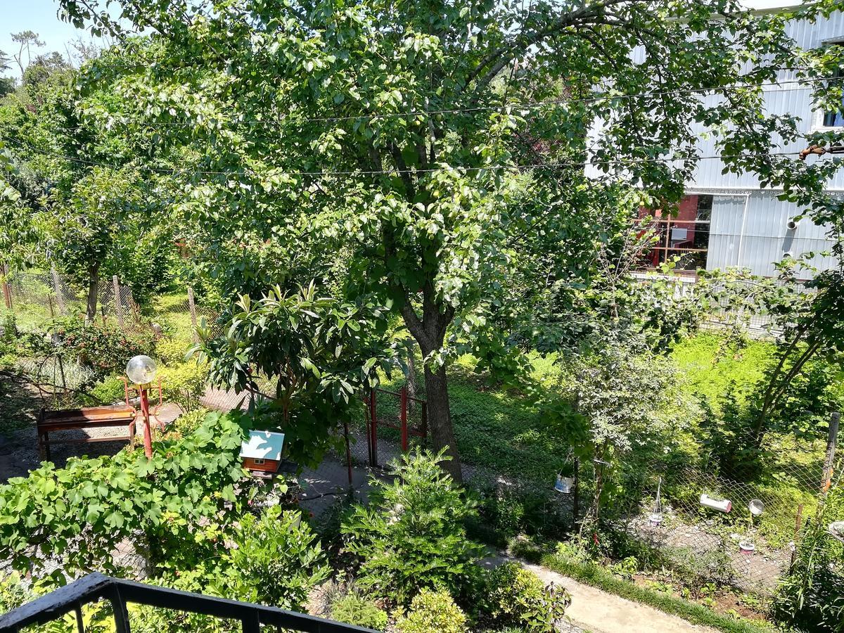 Guest House Of Givi Kobuleti Exteriör bild